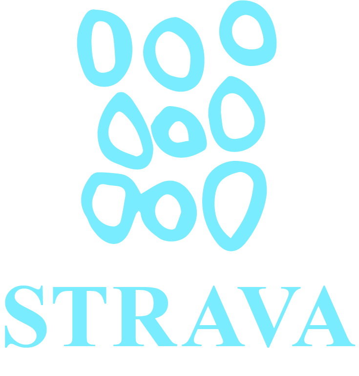 Strava 